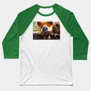 New Zealand Kunekune Pig Baseball T-Shirt